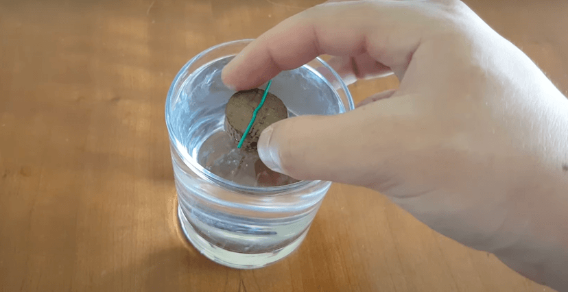 Teach Snappy Science