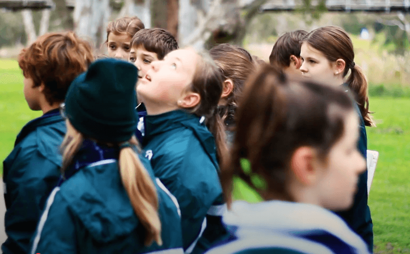 Education for Sustainability