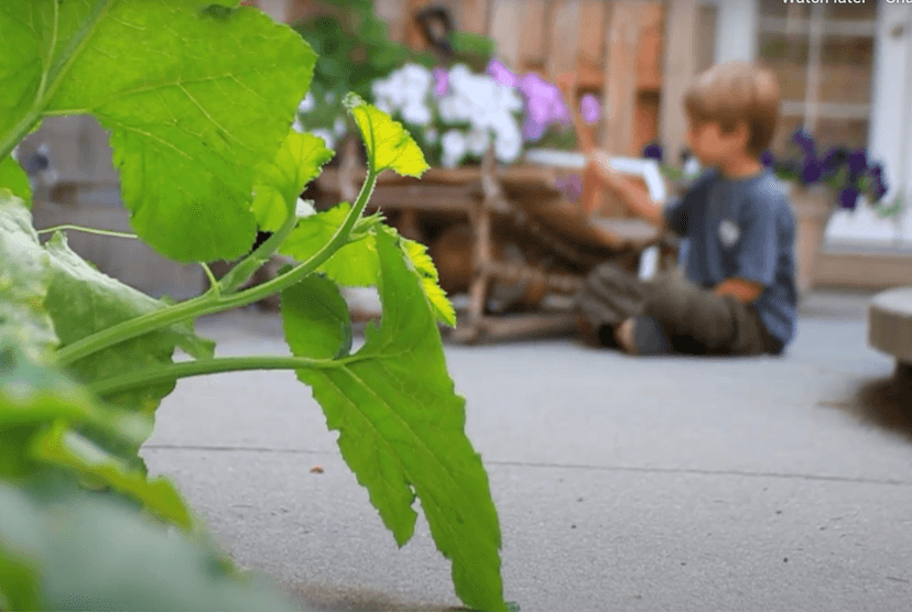 Science in Early Learning